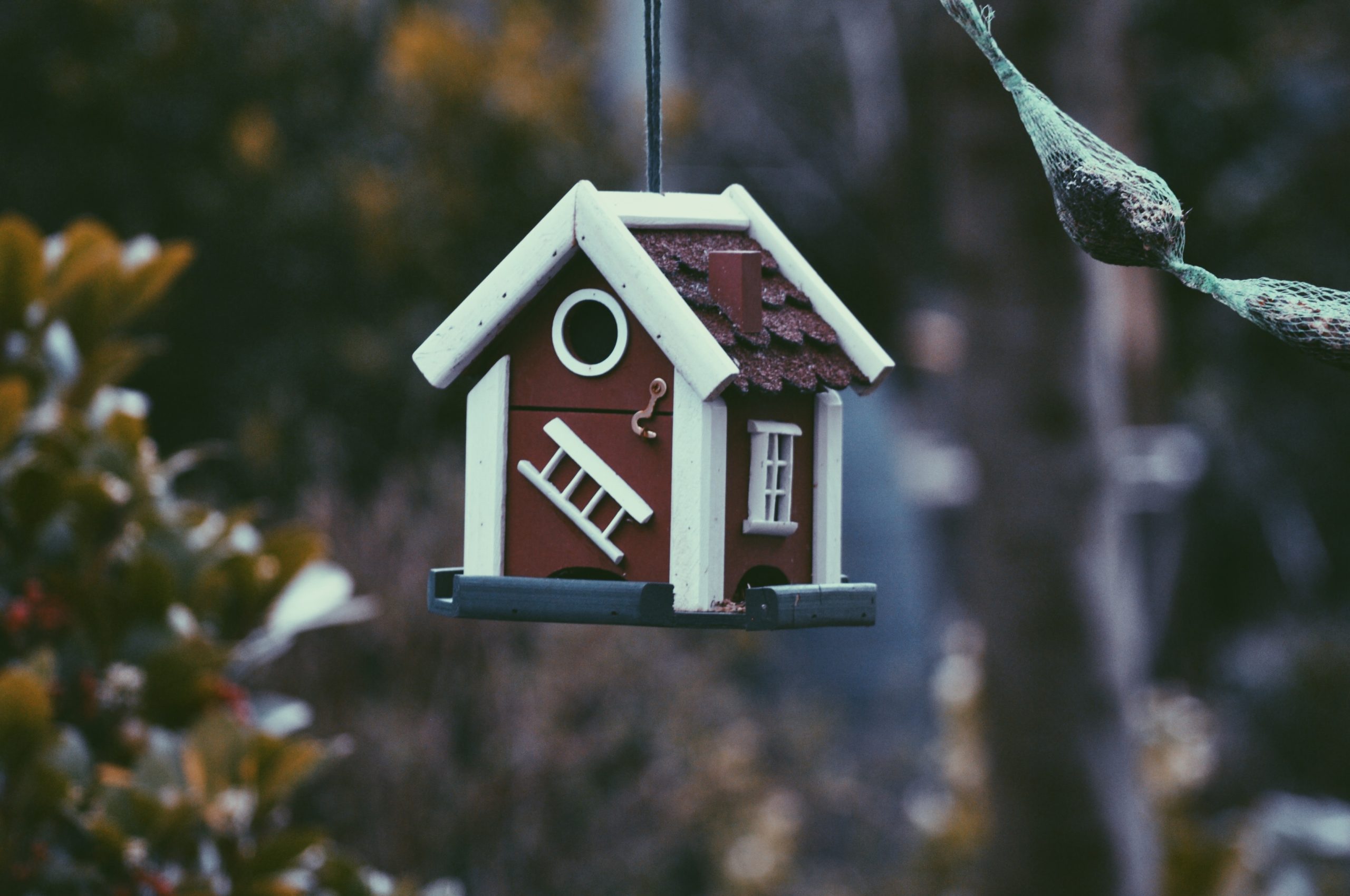 Buying a Home on a Fast Timeline